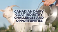 Canadian Dairy Goat Industry Challanges