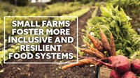 Small Farm Food Systems