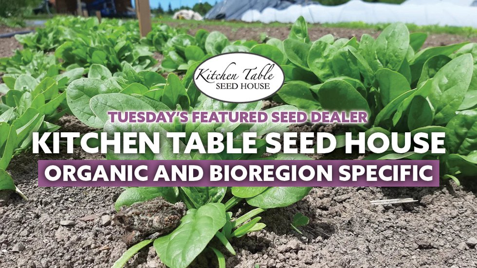 SFC Featured Seed Grower For August Small Farm Canada Small Farm Canada   Seed Dealer Kitchen Table Seed House 