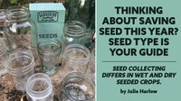 Seed Saving Advice