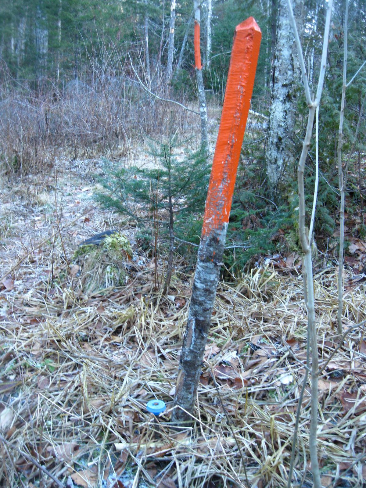 Can someone confirm that this is or is not a survey stake? : r