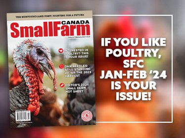 Small Farm Canada Inspiring And Informing Farmers Small Farm Canada   Jan 2024 Poultry Issue Headliner 