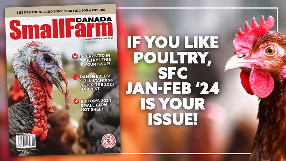 2024 Small Farm Canada Poultry Issue Small Farm Canada Small Farm   Jan 2024 Poultry Issue 