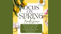 Focus on Spring