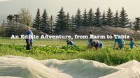 Edible Adventure from Farm to Table
