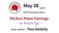 Perfect Plant Pairing – An Artist’s Eye
