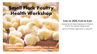 Small Flock Poultry Workshop