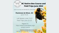 BC Native Bee Course