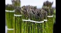 Fresh Asparagus - A Sign of Spring