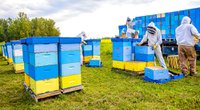 Alberta Honey Producers Bee Hives