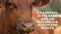 Fly control in the barn and on pasture