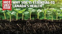 Why Soil is Essential to Canada's Health