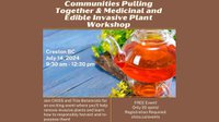 Medicinal and Edible Invasive Plant Workshop