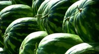 Stacked farm fresh watermelon