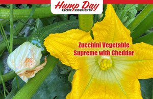 Delicious, nutritious, beautiful zucchini.