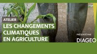 Les changements climatiques en agriculture