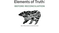 Elements of Truth: Before Reconciliation Training