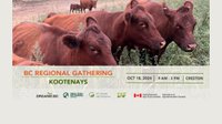 BC Regional Gathering: Kootenays