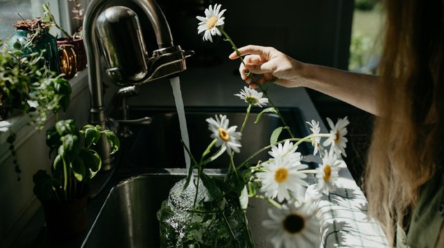 Tips for making your flowers last