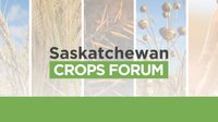 Saskatchewan Crops Forum