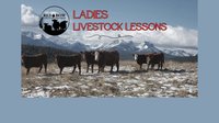 Ladies Livestock Lessons